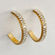 ADA Zirconia Crystal Gold Hoop Earrings