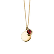 Gold plated disc pendant and birthstone necklace