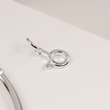 Sterling Silver Personalised Star Sign Pendant